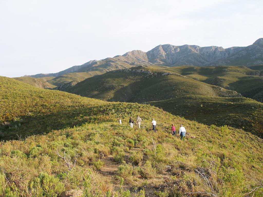 The Retreat At Groenfontein Calitzdorp Εξωτερικό φωτογραφία